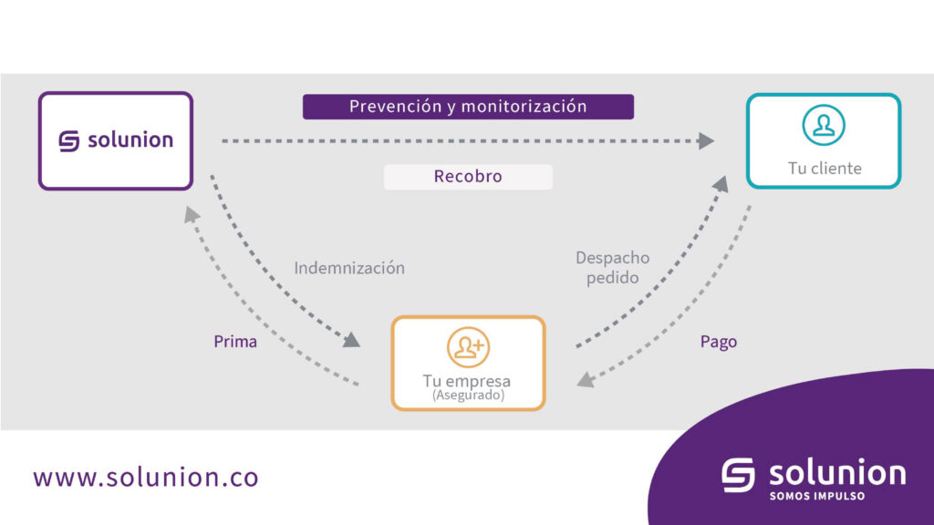 Estructura seguro de crédito