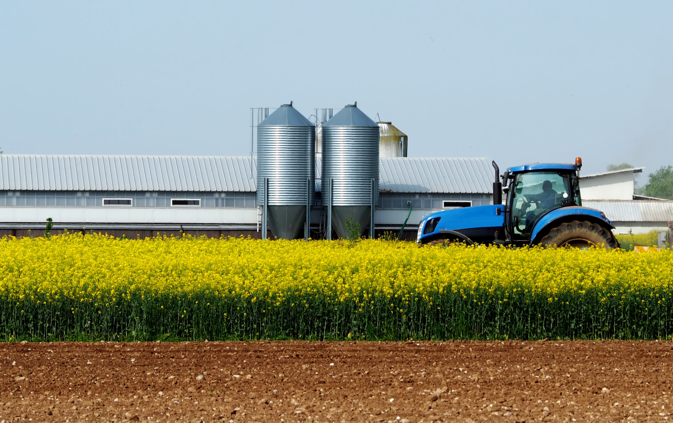 El sector Agroindustrial en Colombia: avances y desafíos en 2023