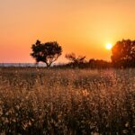 Solunion Colombia presenta un artículo sobre el fenómeno de El Niño