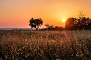 Solunion Colombia presenta un artículo sobre el fenómeno de El Niño