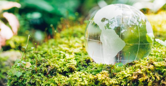 Globe glass in grass forest on nature background, Environment Day Concept