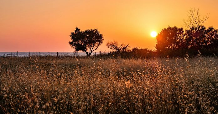 Solunion Colombia presenta un artículo sobre el fenómeno de El Niño
